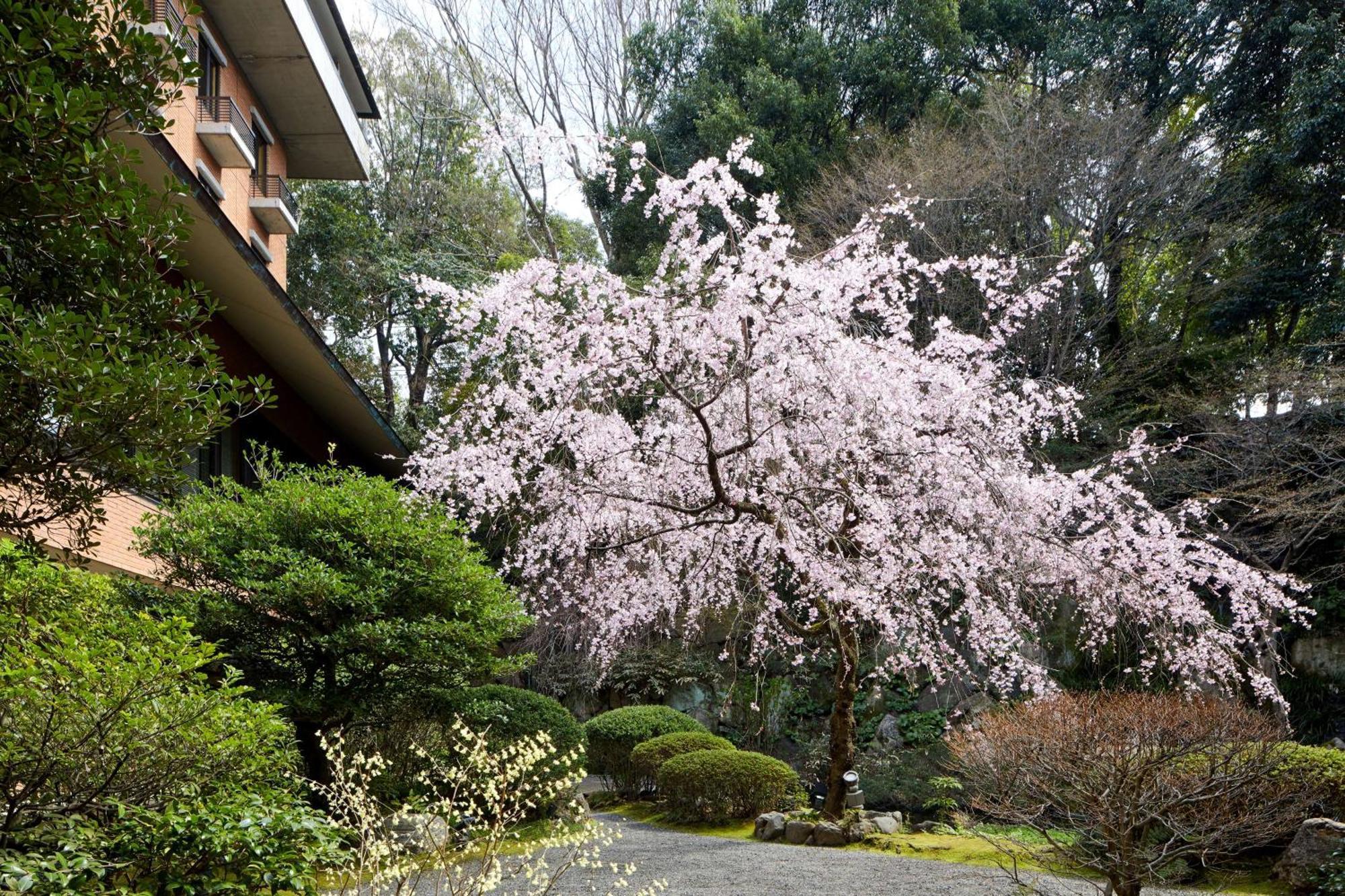 Hyatt Regency Kyoto Otel Dış mekan fotoğraf